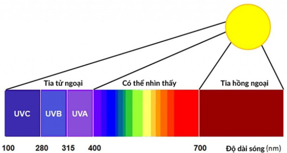 Tia hồng ngoại xa là gì? Các ứng dụng của tia hồng ngoại xa
