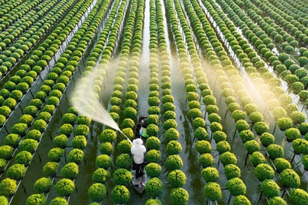 Khoa học lượng tử và nông nghiệp: Khám phá mối liên hệ